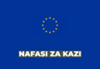 European Union Delegation Vacancies 2026