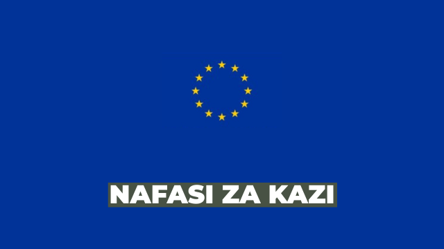 European Union Delegation Vacancies 2026