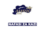 Librarian Vacancy at Auric Air