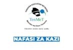 TEN/MET Tanzania Vacancies 2026
