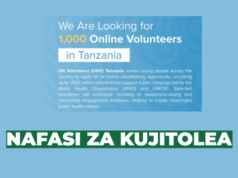1,000 Online Volunteer Opportunities in Tanzania – UN Volunteers Programme 2026