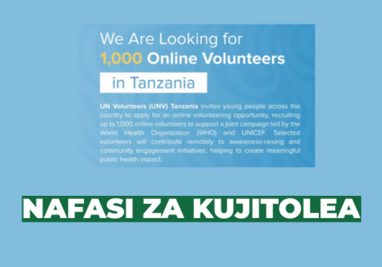 1,000 Online Volunteer Opportunities in Tanzania – UN Volunteers Programme 2026