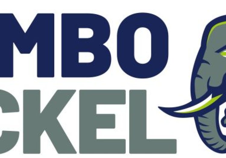 11 Vacancies Open at Tembo Nickel