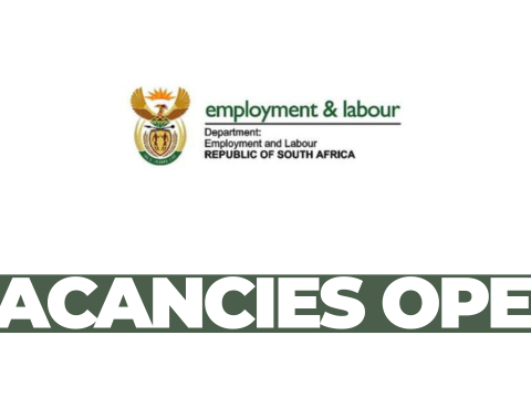 45 Entry-Level Government Jobs Available
