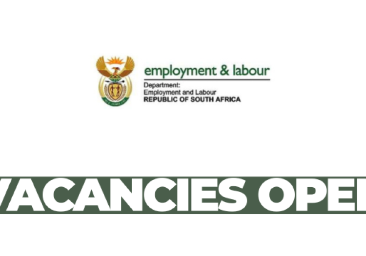 45 Entry-Level Government Jobs Available