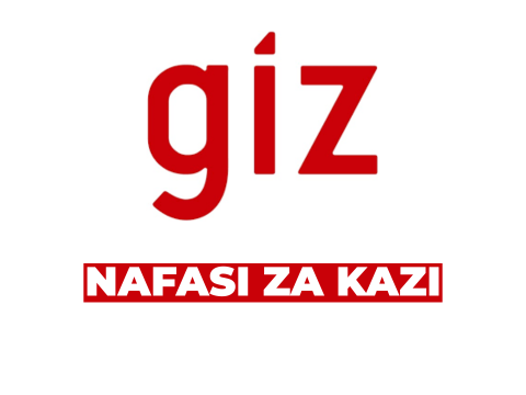 AI Advisor Job Opportunity at GIZ