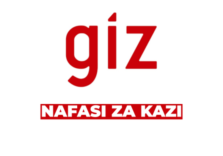 AI Advisor Job Opportunity at GIZ