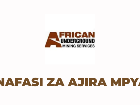 AUMS Tanzania Vacancies 2025