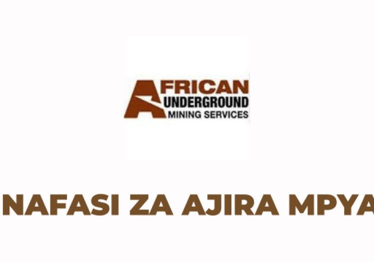 AUMS Tanzania Vacancies 2025