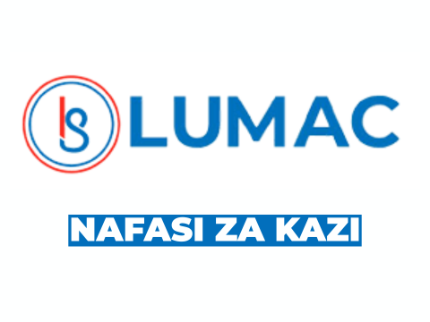 Accountant Job Opportunity at Lumac Tanzania