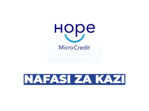 Accountant and Assistant Accountant at Hope Microcredit Company