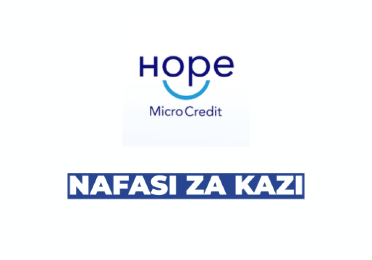 Accountant and Assistant Accountant at Hope Microcredit Company