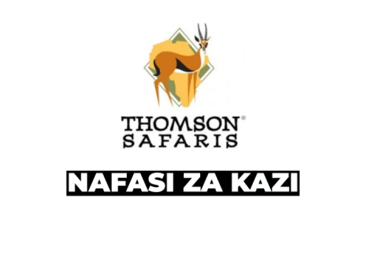 Accounts Team Leader at Thomson Safaris