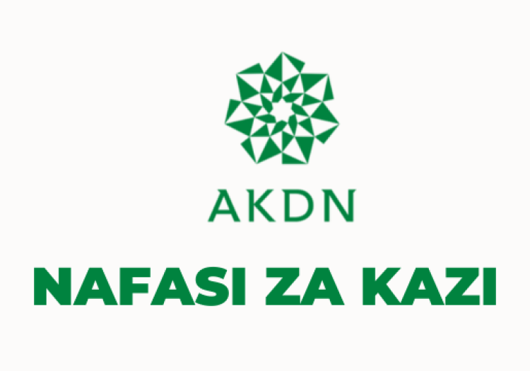 Aga Khan Foundation Tanzania Vacancies 2025
