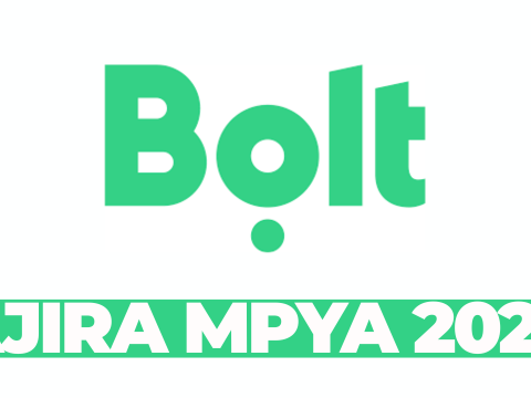 Agency Support Consultant – Public Policy & Regulatory Engagement (Tanzania) at Bolt March 2026