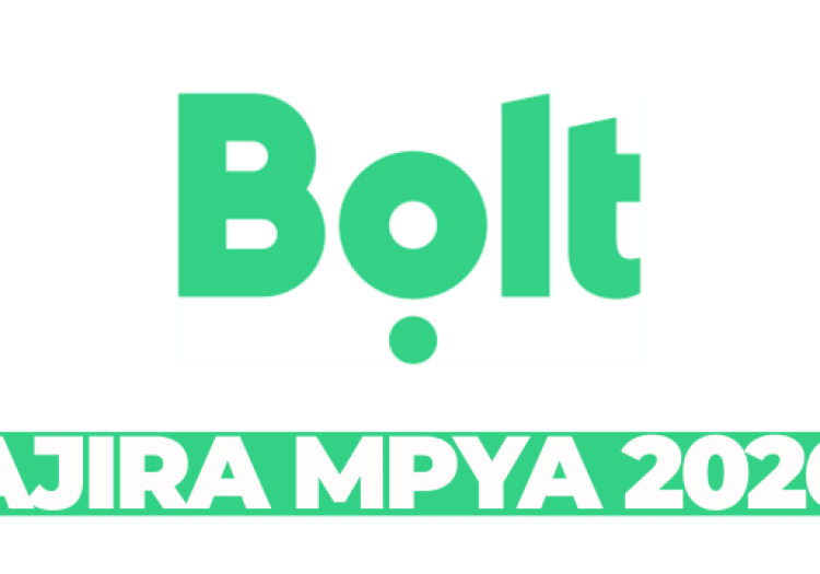 Agency Support Consultant – Public Policy & Regulatory Engagement (Tanzania) at Bolt March 2026