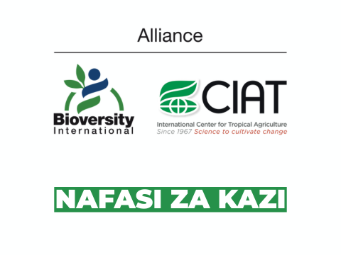 Alliance Bioversity & CIAT Vacancies 2026 at Alliance of Bioversity International and CIAT