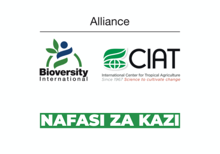 Alliance Bioversity & CIAT Vacancies 2026 at Alliance of Bioversity International and CIAT