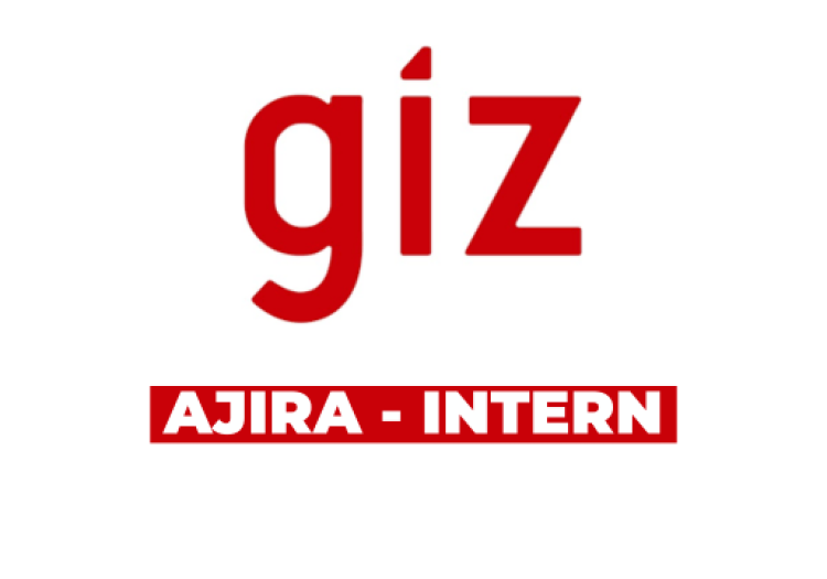 Artificial Intelligence (AI) Internship Opportunity at GIZ