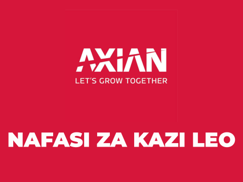 Axian Group Vacancies 2025