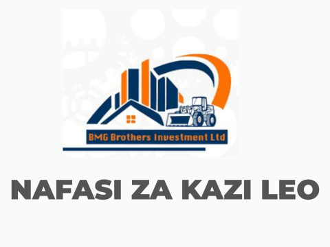 BMG Investment Ltd Vacancies 2025