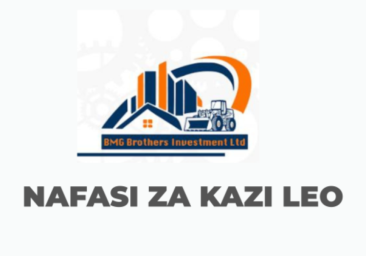 BMG Investment Ltd Vacancies 2025