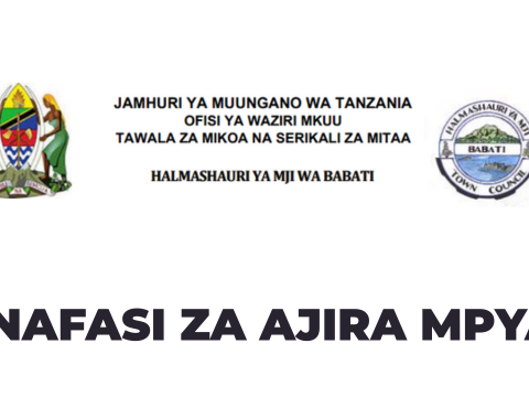 Babati Town Council Vacancies 2026