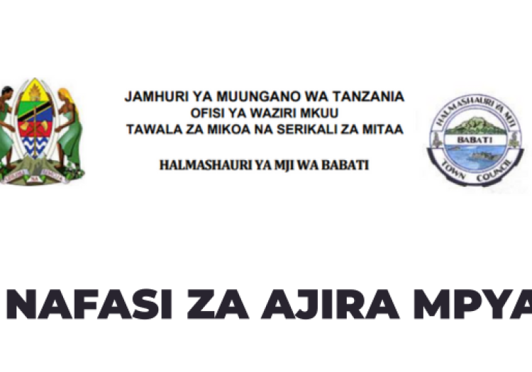 Babati Town Council Vacancies 2026
