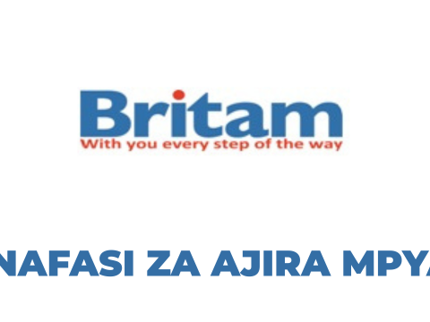 Branch Manager Job Vacancy – Britam Insurance Tanzania Limited