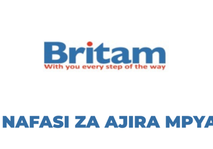 Branch Manager Job Vacancy – Britam Insurance Tanzania Limited