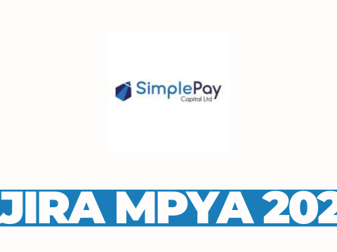 Business Development Officer (BDO) (Loan Officers and Collection Officers) at Simplepay Capital Financial Services Tanzania Ltd February 2026