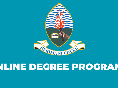 Call for Applications Online Degree Programs at UDSM