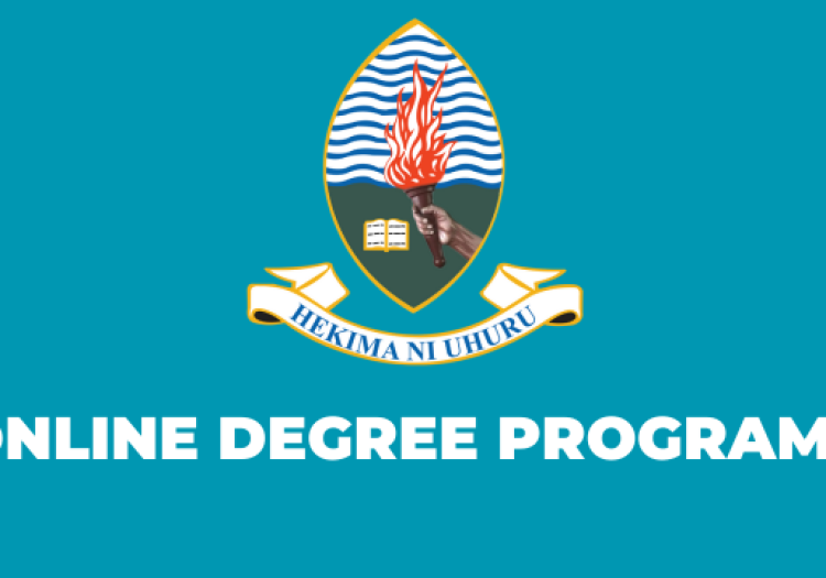 Call for Applications Online Degree Programs at UDSM