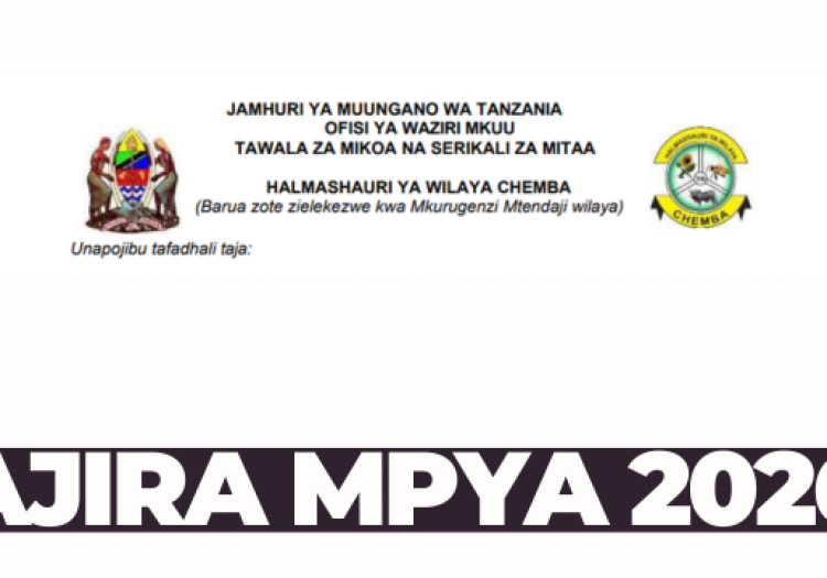 Chemba District Council Vacancies 2026