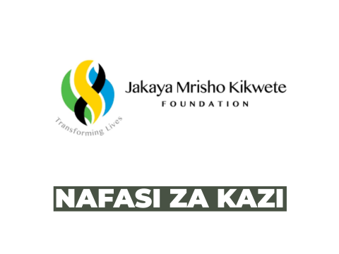 Climate Change & Environment Program Fellow at Jakaya Mrisho Kikwete Foundation (JMKF)