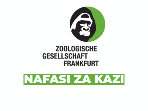 Communications and Fundraising Liaison Opportunity in the Serengeti Ecosystem