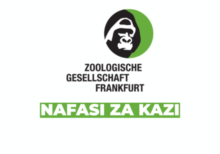 Communications and Fundraising Liaison Opportunity in the Serengeti Ecosystem