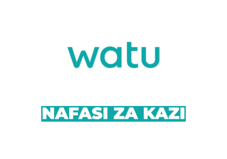 Customer Care Officer – Watu Credit Tanzania (Arusha)