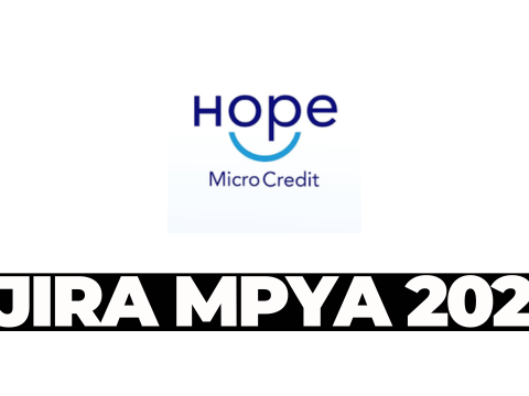 Customer Service at Hope Microcredit February 2026