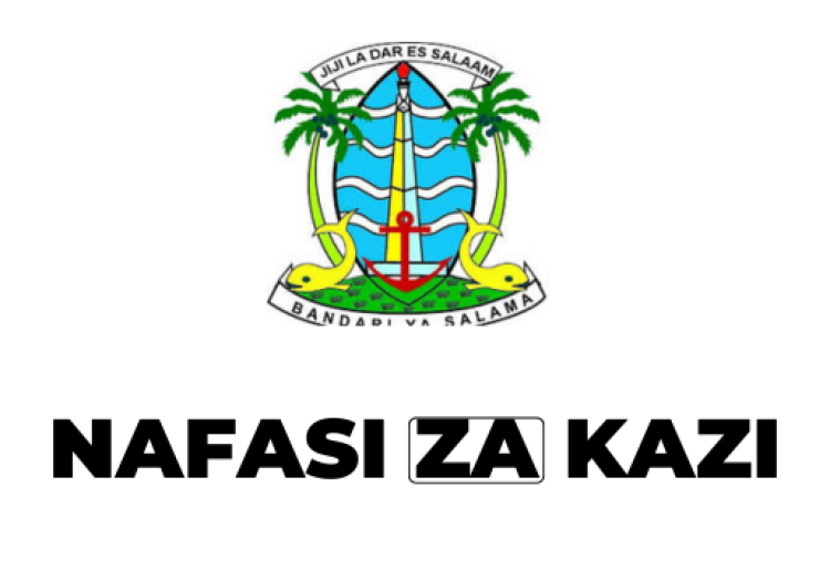 Dar es Salaam City Council Vacancies 2025