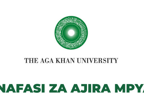 Data Manager at Aga Khan University January 2026