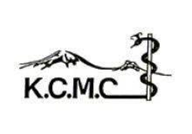 Data scientist at KCMC January 2026