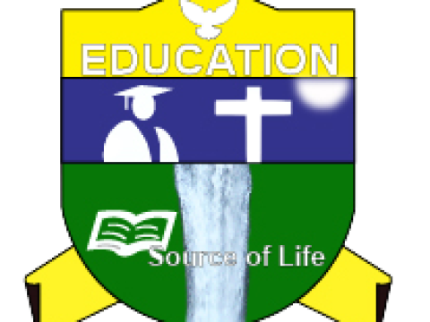 Deputy Vice Chancellor for Academic Affairs Vacancy at Ruaha Catholic University (RUCU) January 2026