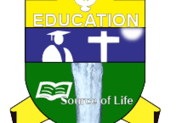 Deputy Vice Chancellor for Academic Affairs Vacancy at Ruaha Catholic University (RUCU) January 2026