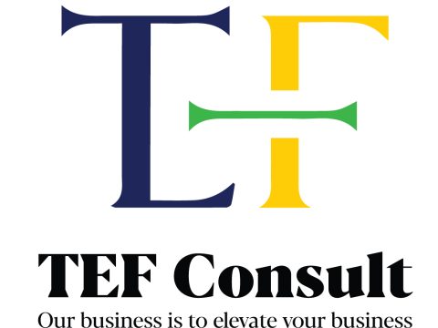 Digital Content & Sales Executive at TEF Consult January 2026