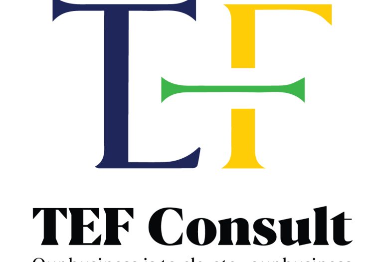 Digital Content & Sales Executive at TEF Consult January 2026