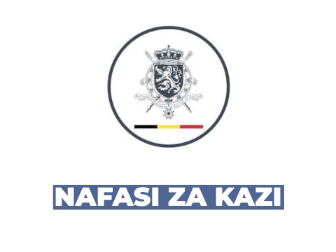Embassy of Belgium in Tanzania Vacancies 2026