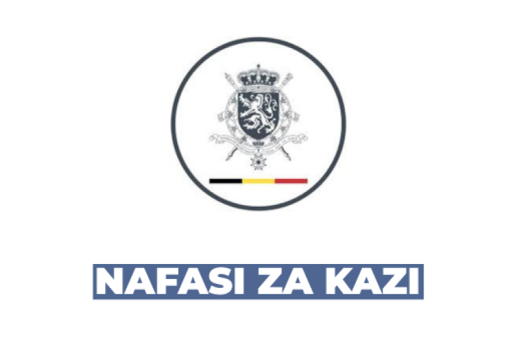 Embassy of Belgium in Tanzania Vacancies 2026