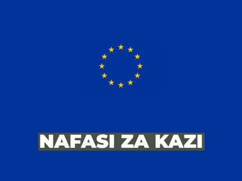 European Union Delegation Vacancies 2026