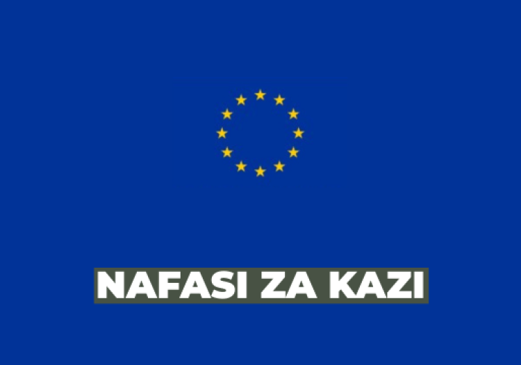 European Union Delegation Vacancies 2026